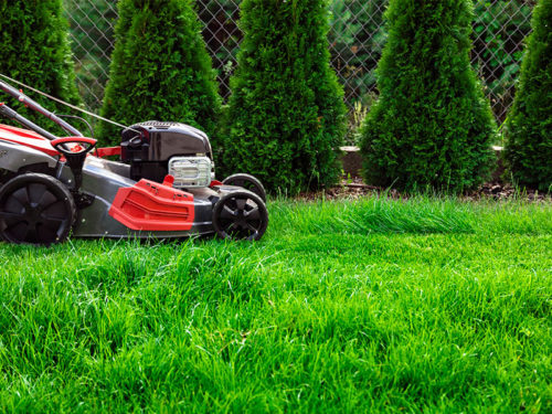 landscape-and-lawn-care-service-gastonia-nc.jpg
