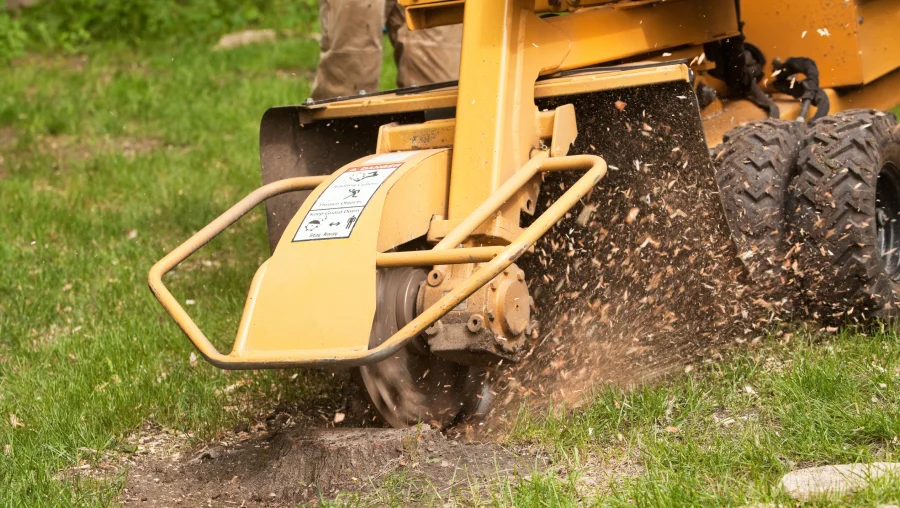 Stump Grinding & Removal