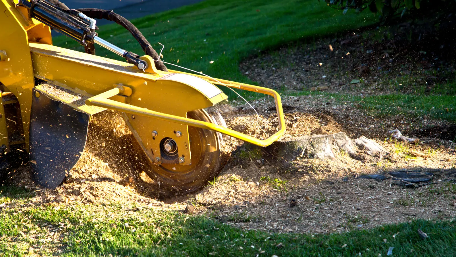 stump grinding services in gastonia nc hero