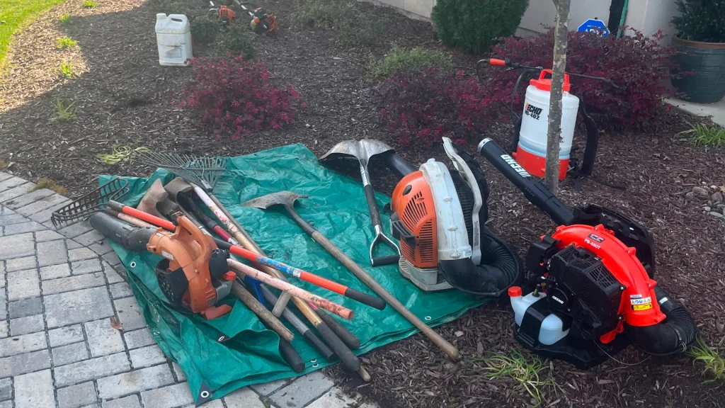 Common Mistakes Beginners Lawn Care Should Avoid Blog